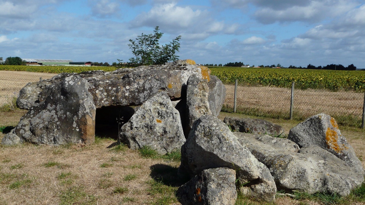 Photo of Outdoor in Saint-Vincent-sur-Jard