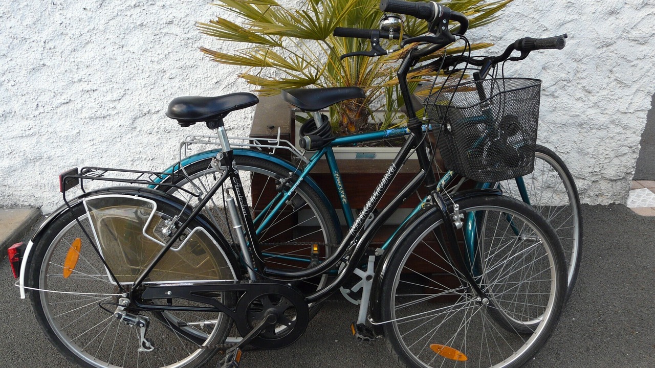 Photo of Outdoor in Saint-Vincent-sur-Jard