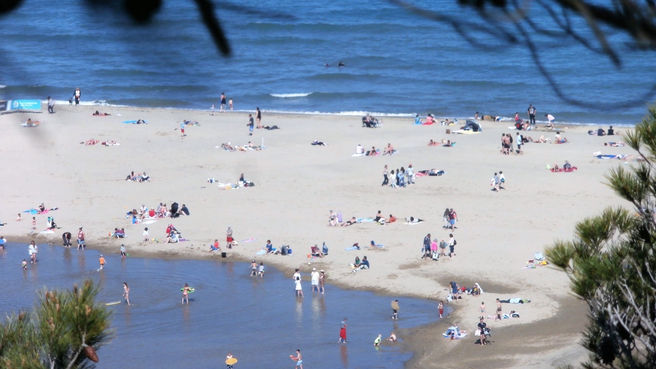 Photo of Others in La Franqui-Plage