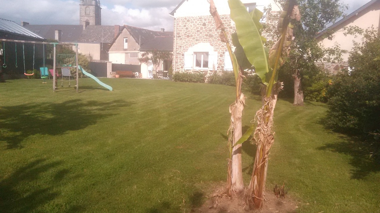 Photo of Others in Irodouer