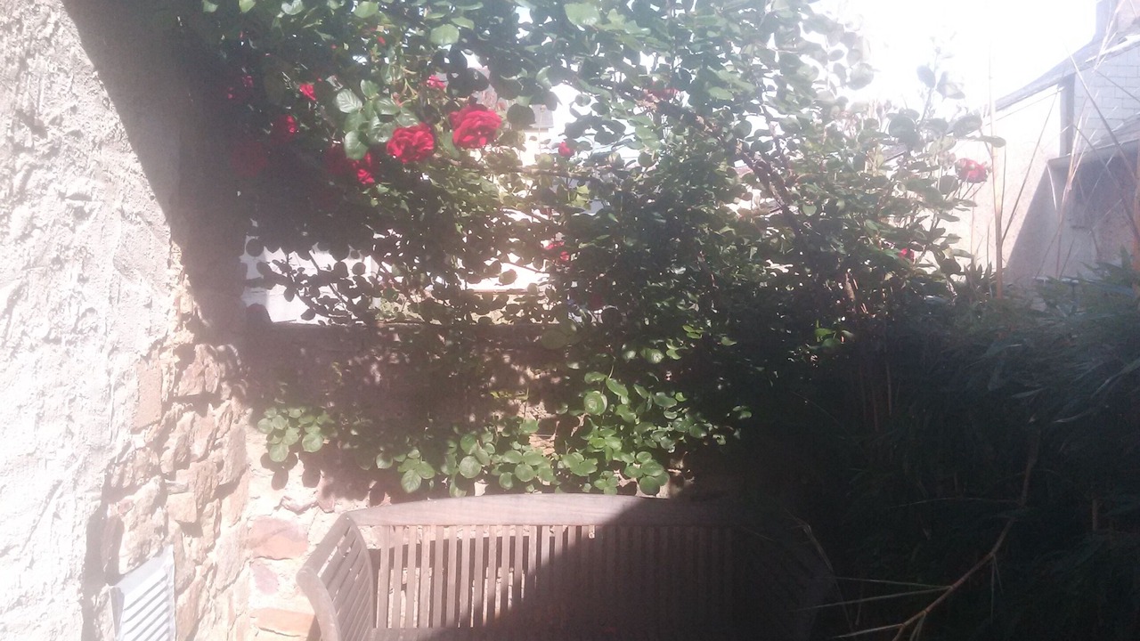Photo of Outdoor in Irodouer