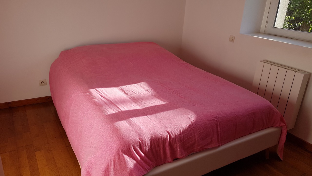 Photo of Bedroom in Irodouer