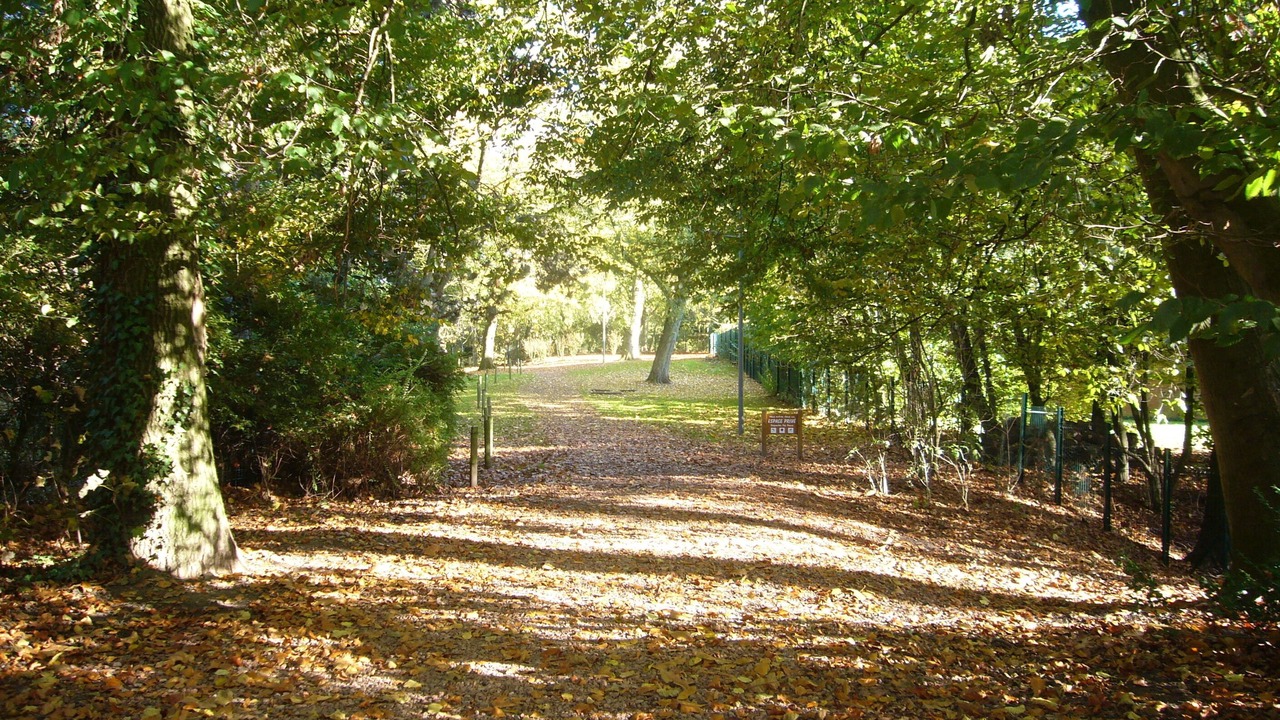 Photo of Outdoor in Mouvaux