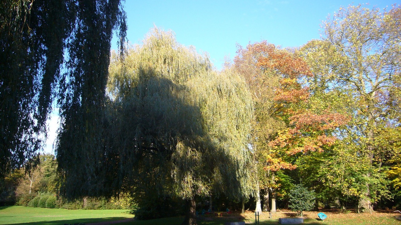 Photo of Outdoor in Mouvaux