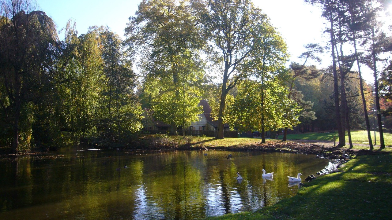 Photo of Outdoor in Mouvaux