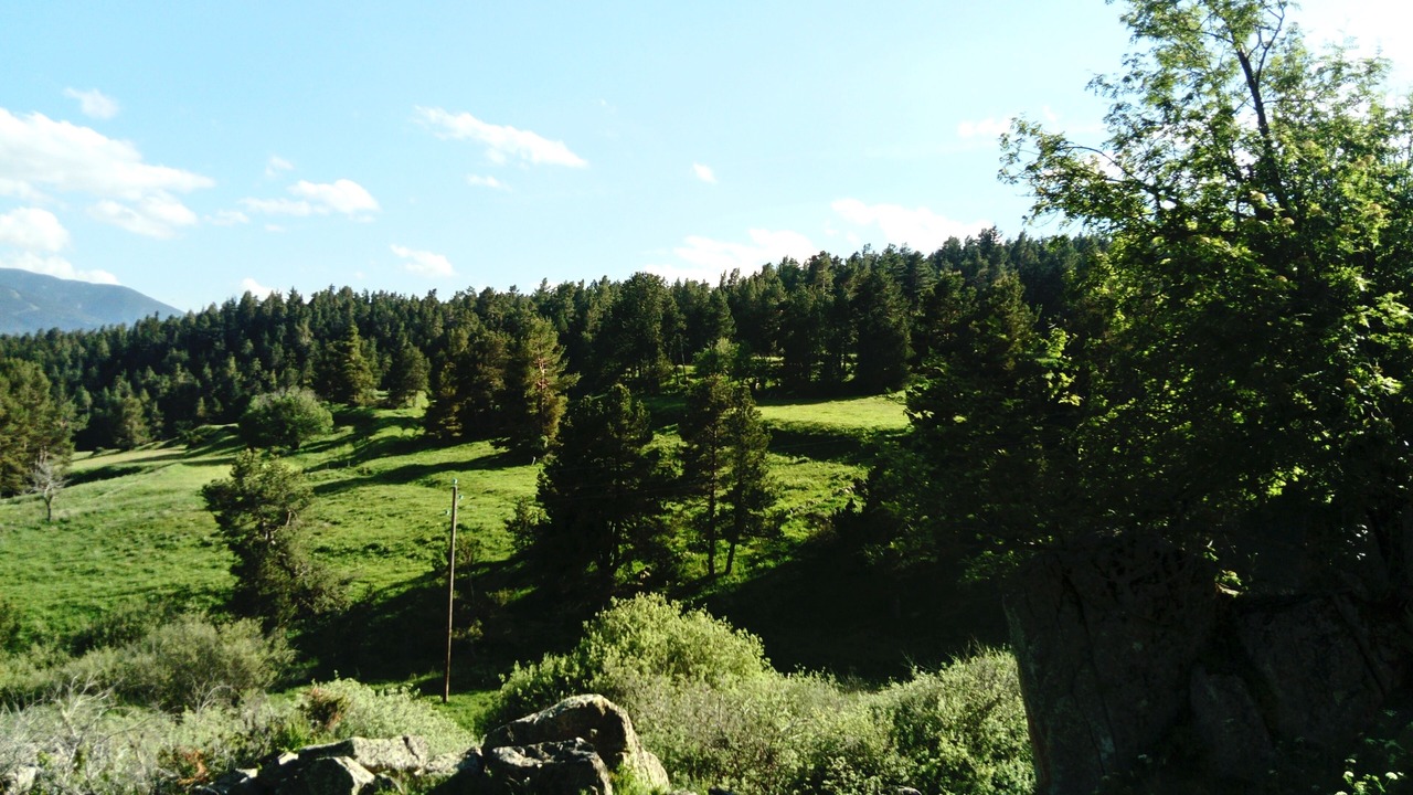Photo of Others in La Llagonne