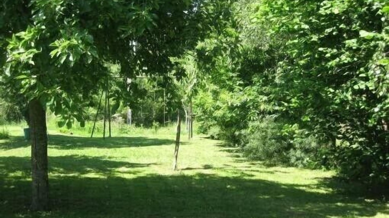 Photo of Outdoor in Brissac Loire Aubance