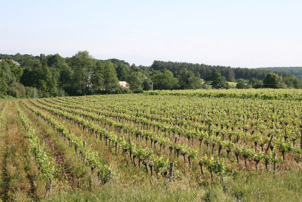 Photo of Outdoor in Brissac Loire Aubance