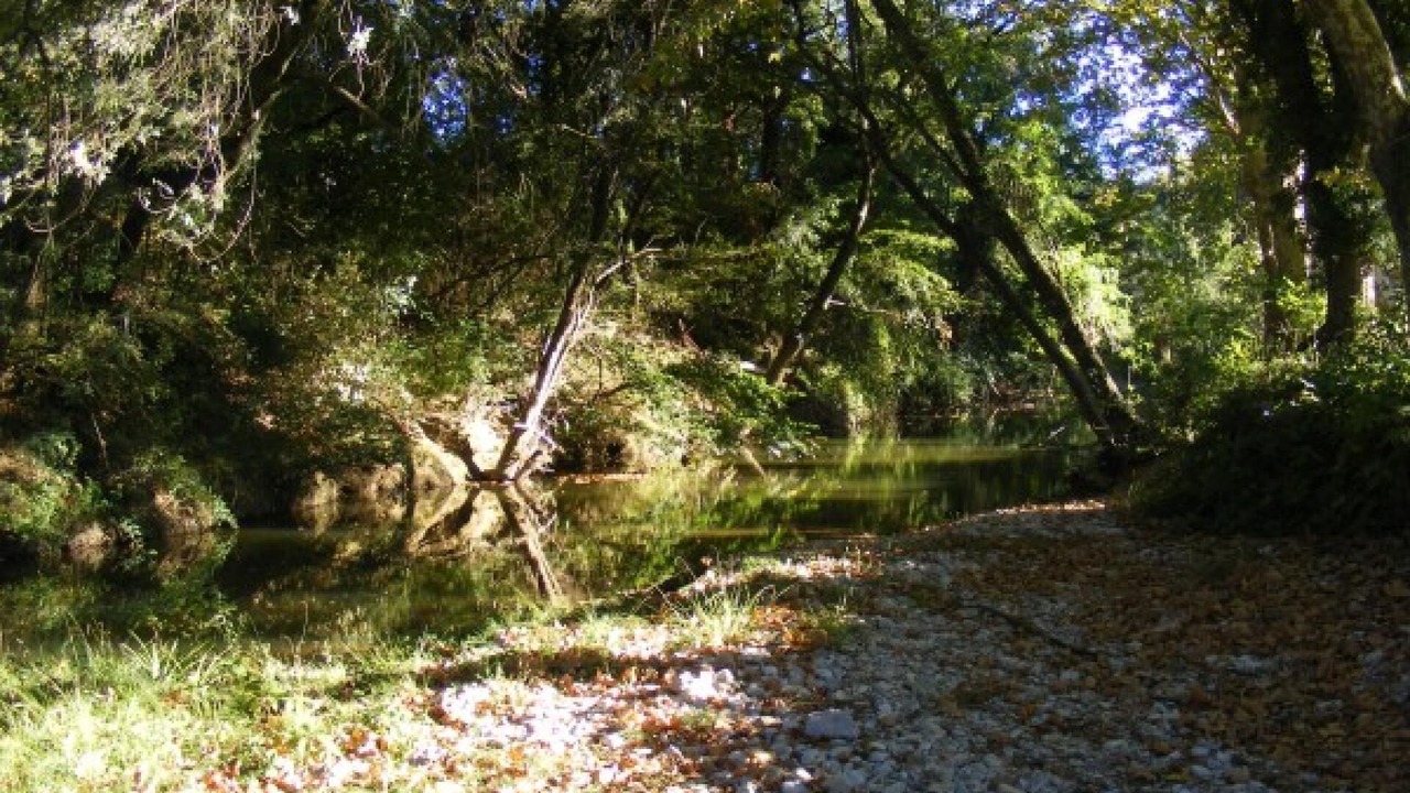 Photo of Outdoor in Fabregues