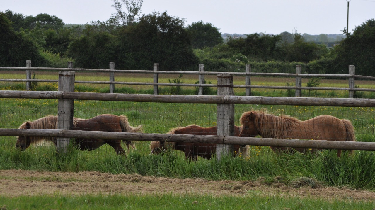 Photo of Outdoor in Goustranville