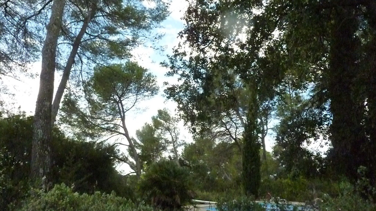 Photo of Outdoor in Assas