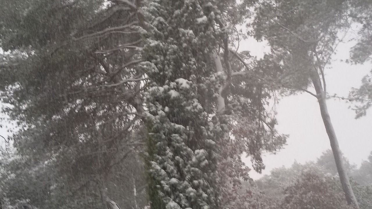 Photo of Outdoor in Assas