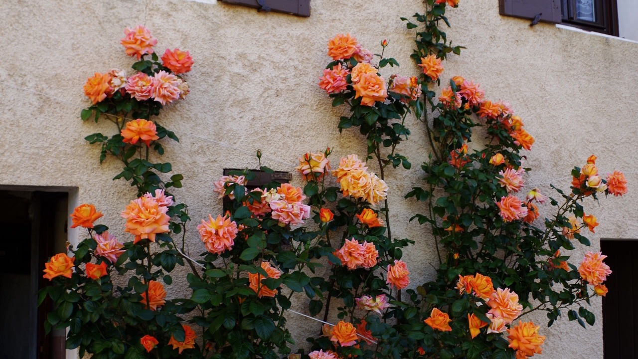 Photo of Outdoor in Aiguines