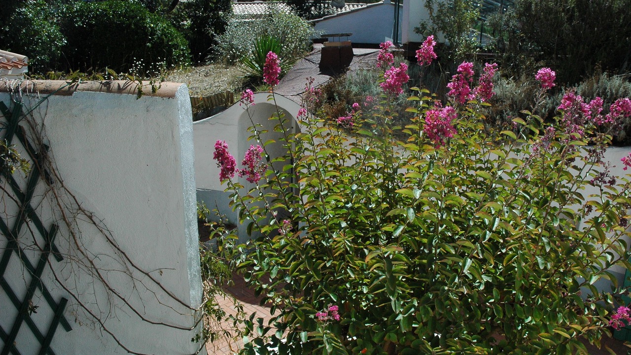 Photo of Outdoor in L'Epine
