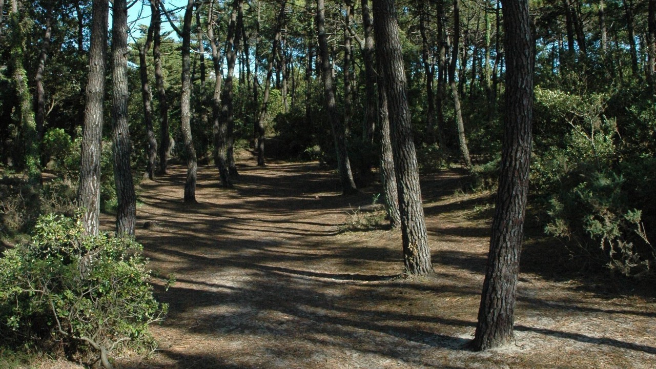Photo of Outdoor in L'Epine