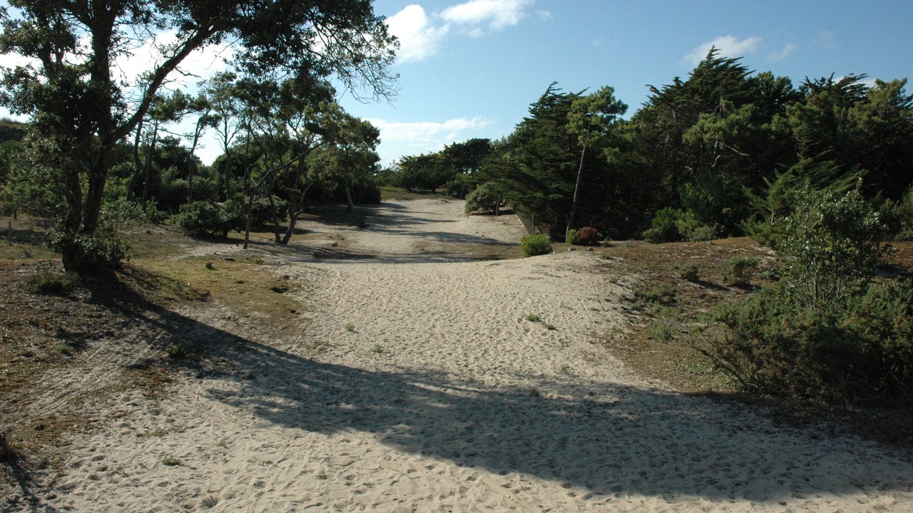 Photo of Others in L'Epine