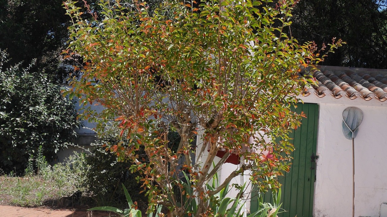 Photo of Outdoor in L'Epine