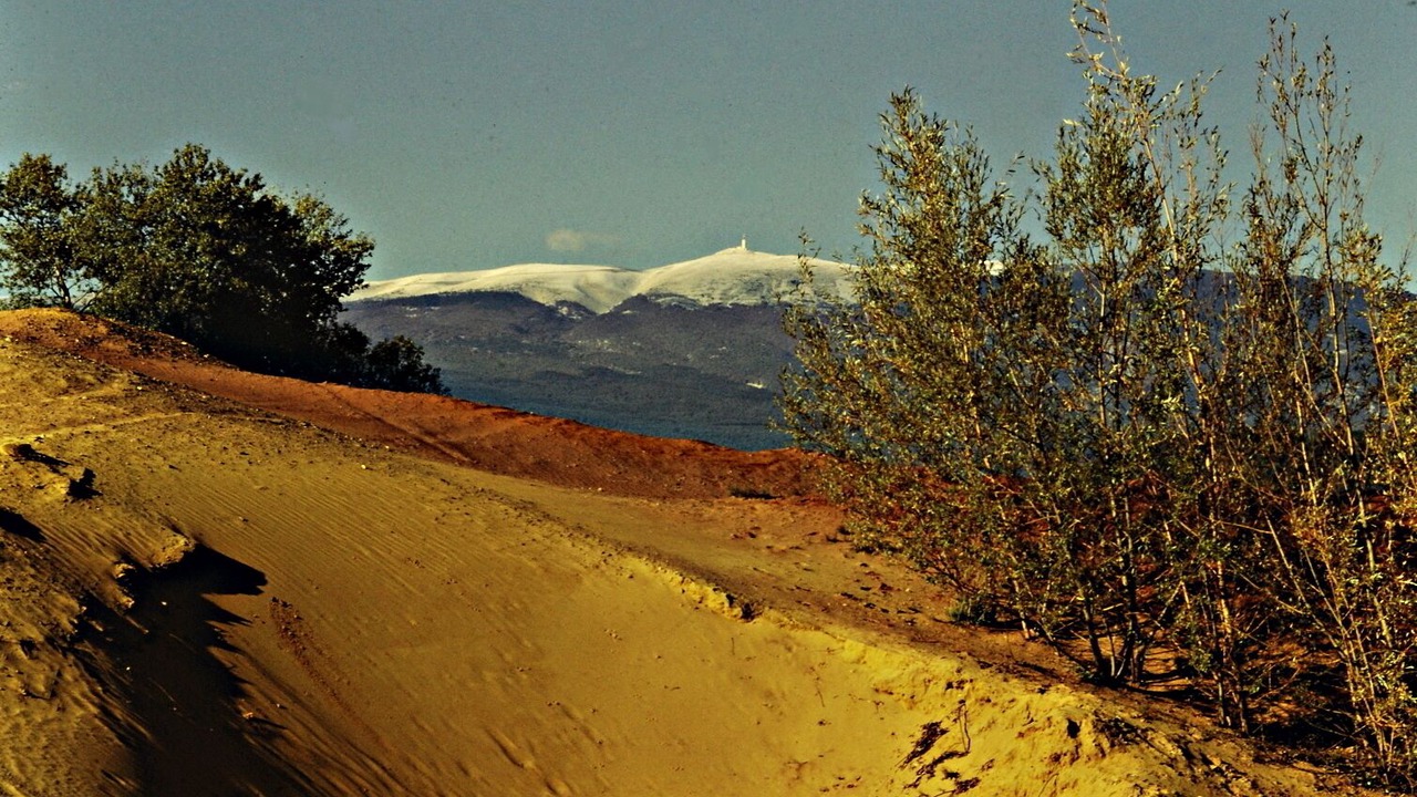 Photo of Others in Murs