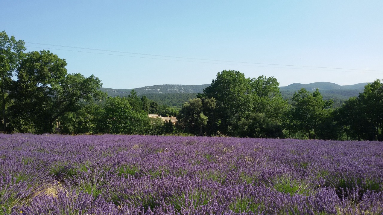 Photo of Outdoor in Murs