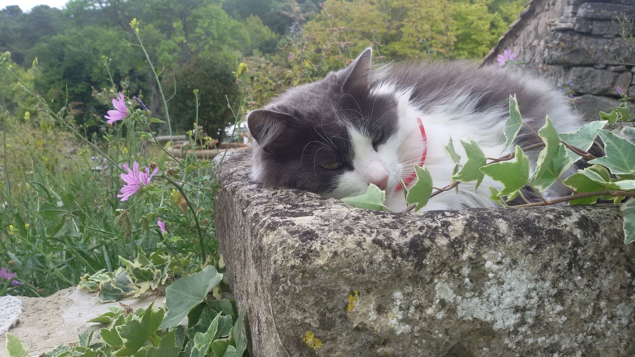 Photo of Outdoor in Murs
