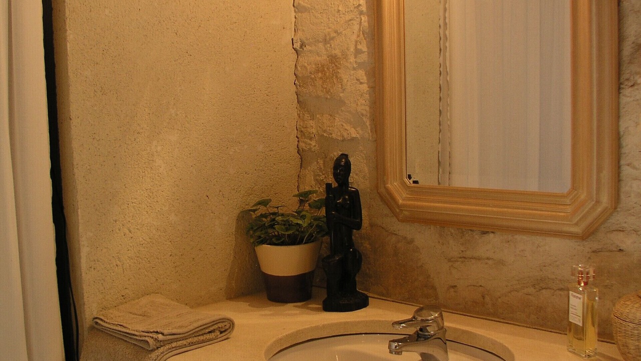 Photo of Bathroom in Murs