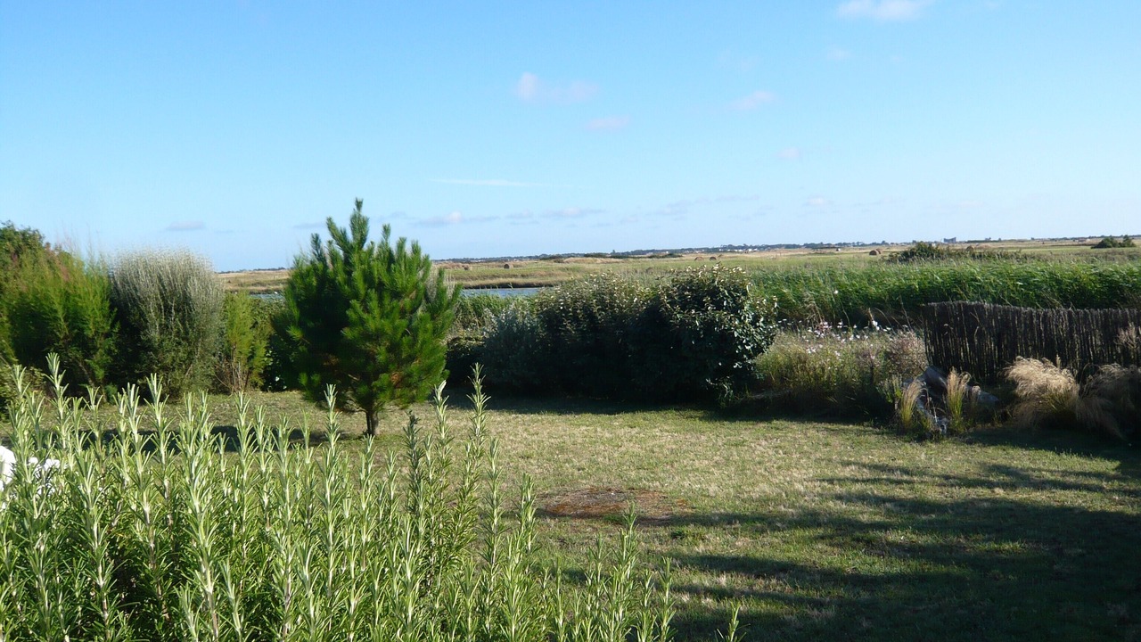 Photo of Outdoor in Noirmoutier-en-l'Ile