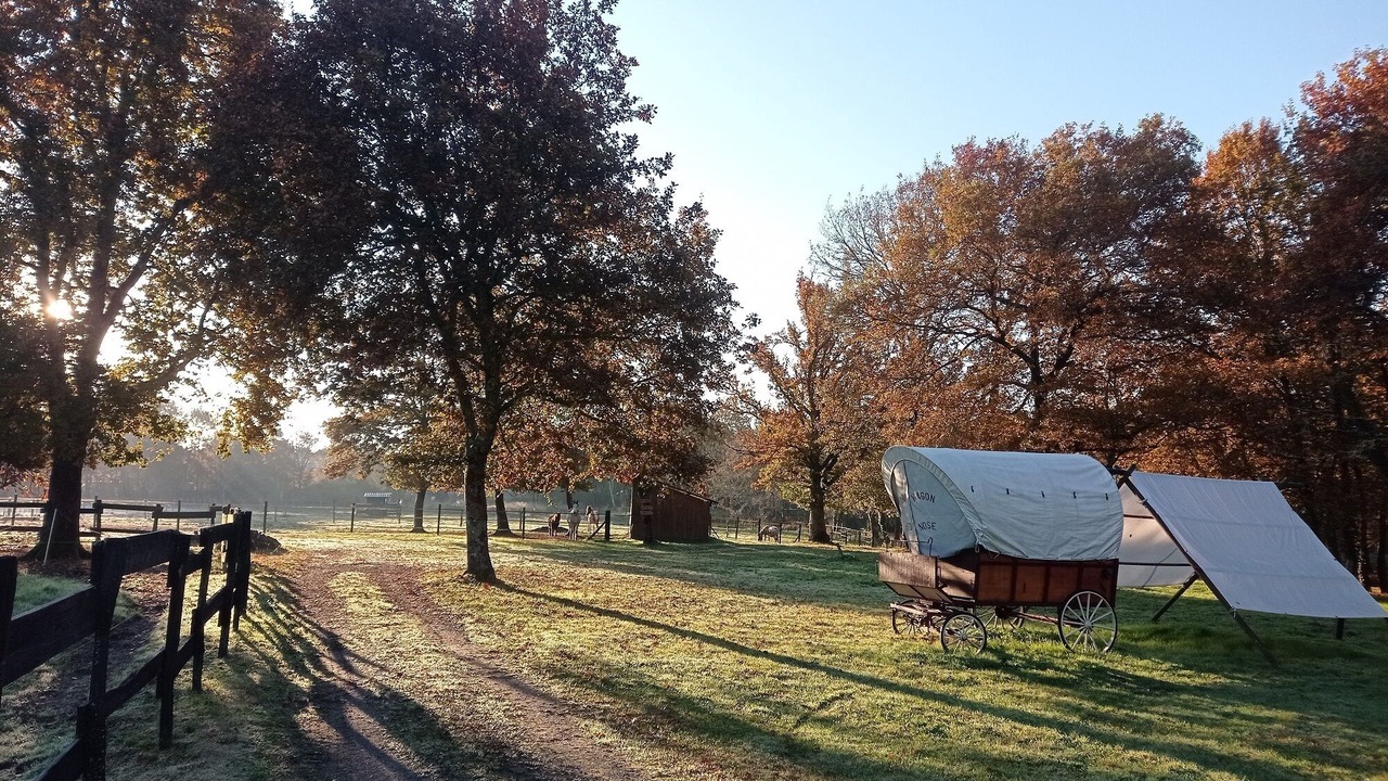 Photo of Others in Saint-Paul-en-Born