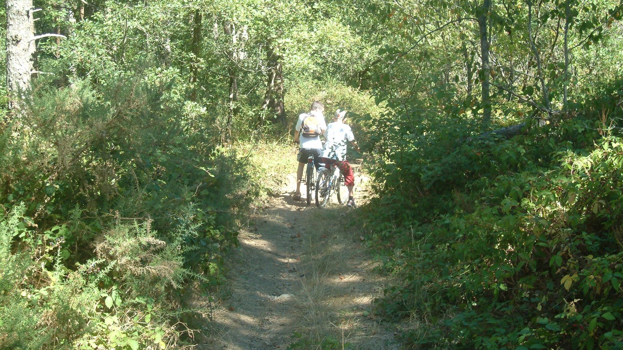 Photo of Outdoor in Vieille-Brioude