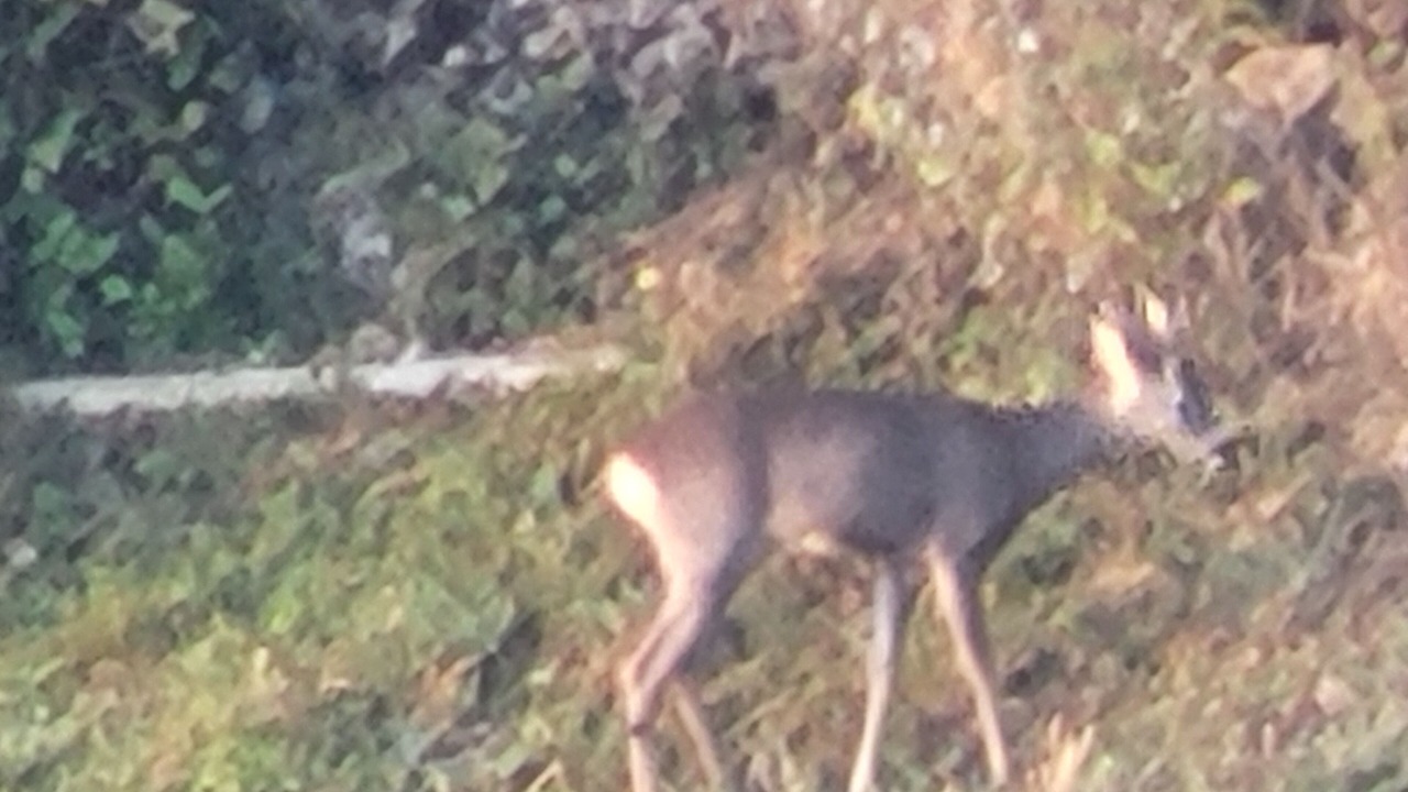 Photo of Outdoor in Roubion