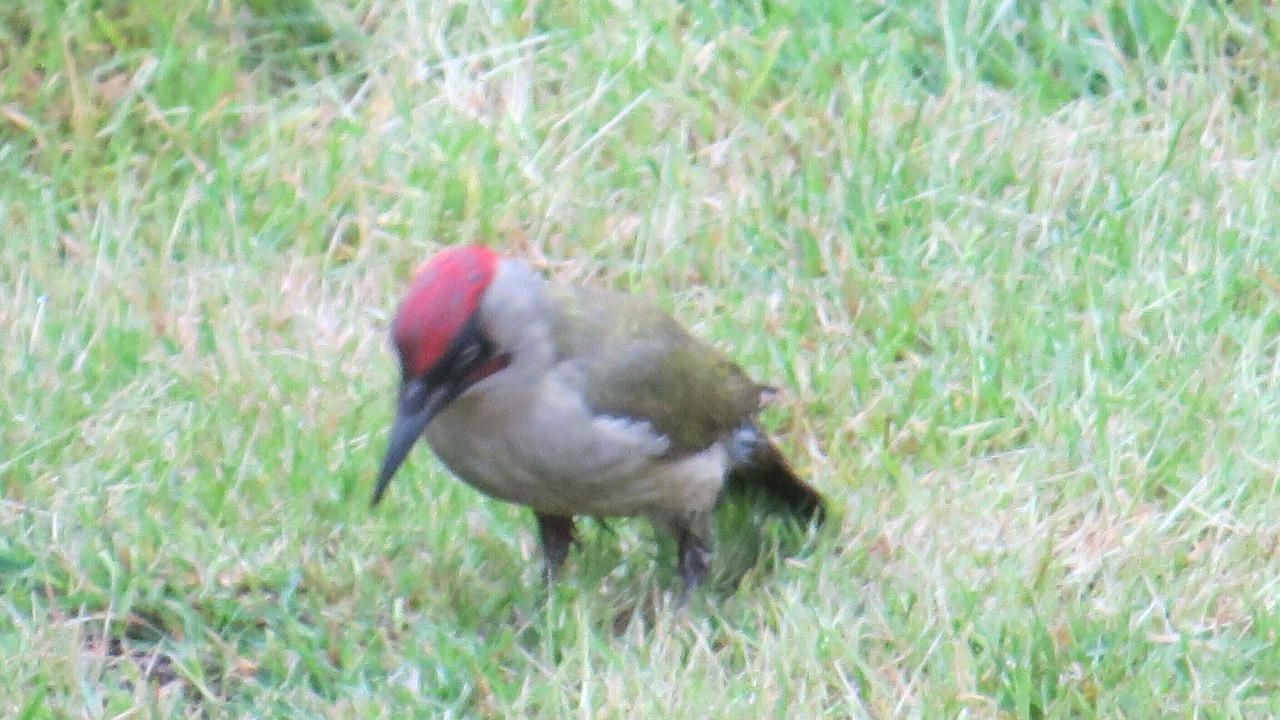 Photo of Outdoor in Marcy-l'Etoile