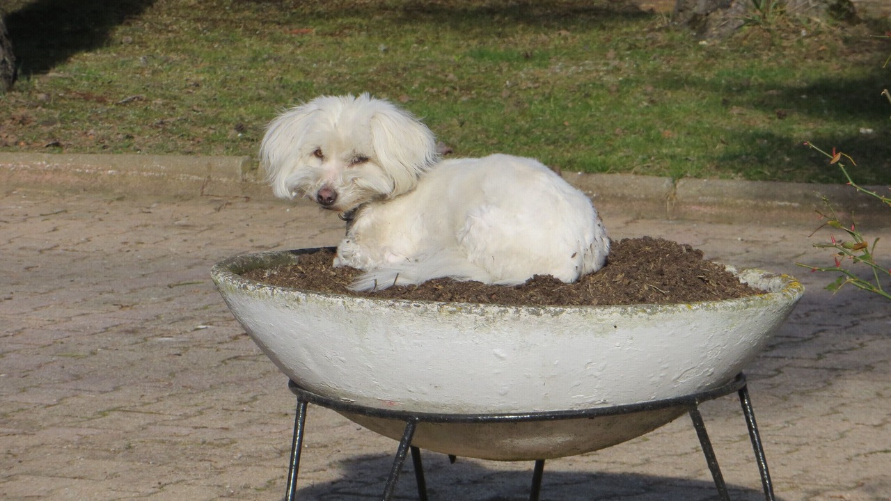 Photo of Others in Marcy-l'Etoile