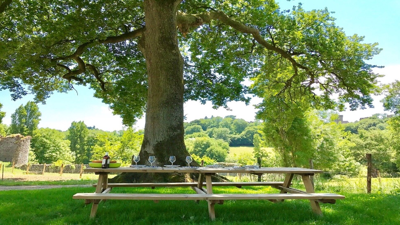 Photo of Outdoor in La Flocelliere