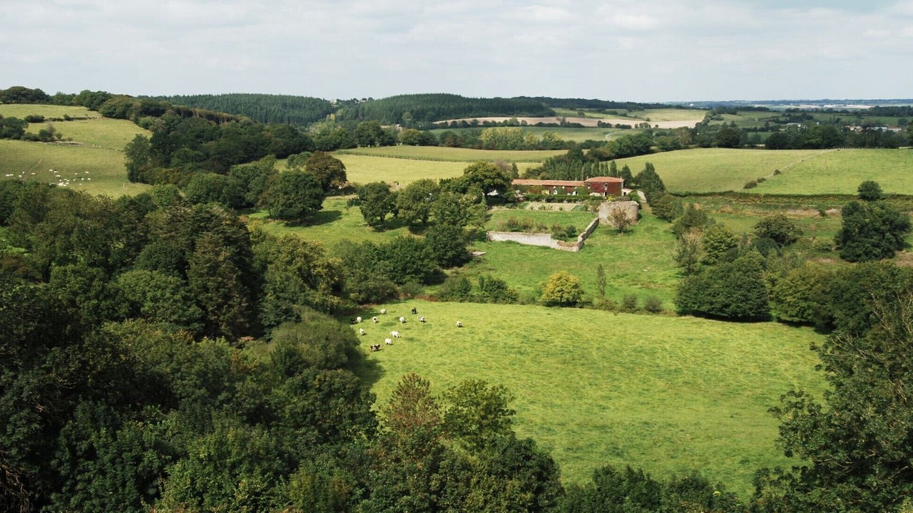 Photo of Outdoor in La Flocelliere