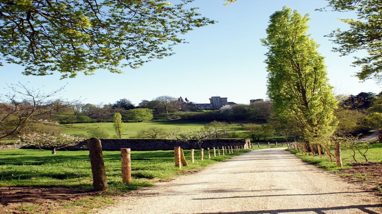 Photo of Outdoor in La Flocelliere