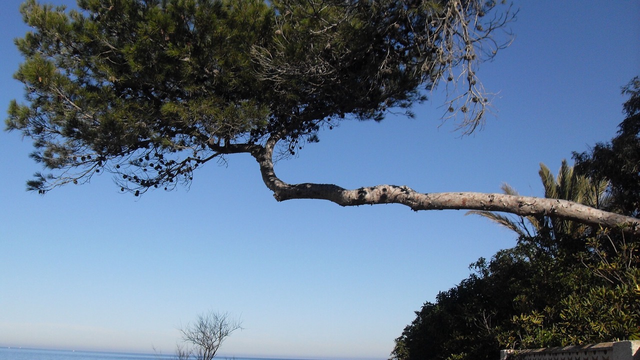 Photo of Outdoor in Adsubia