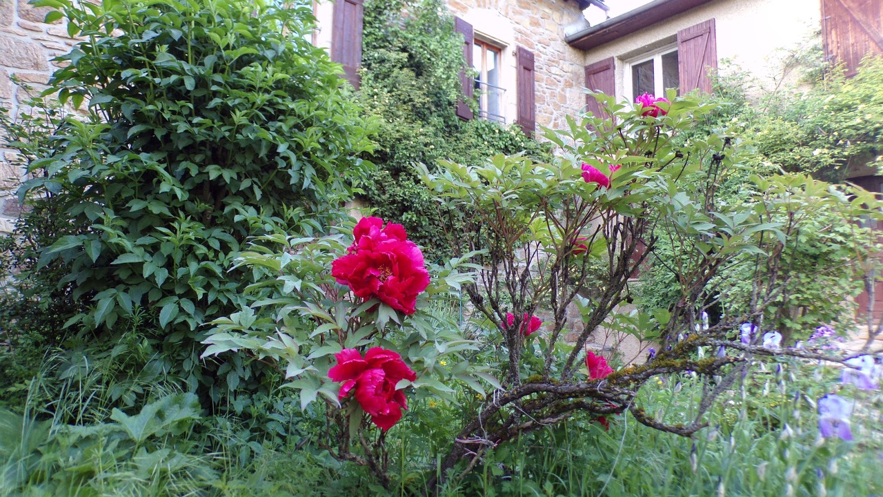 Photo of Outdoor in Marvejols