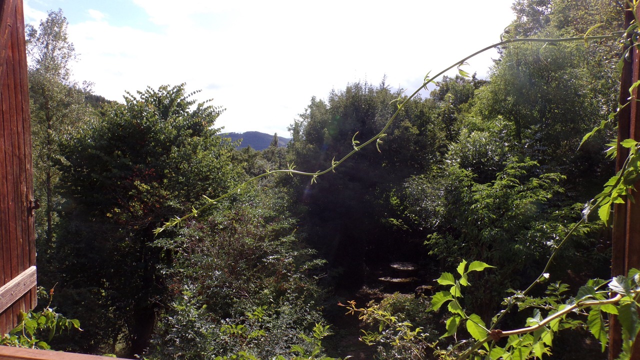 Photo of Outdoor in Marvejols