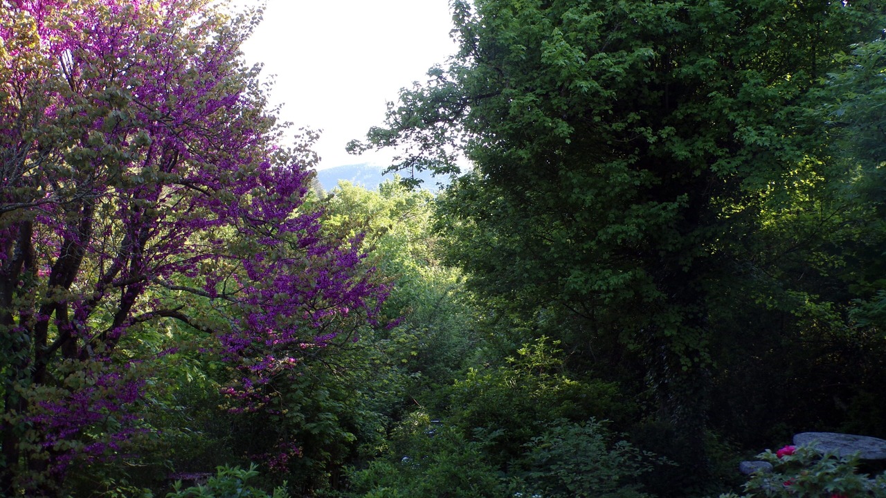 Photo of Outdoor in Marvejols