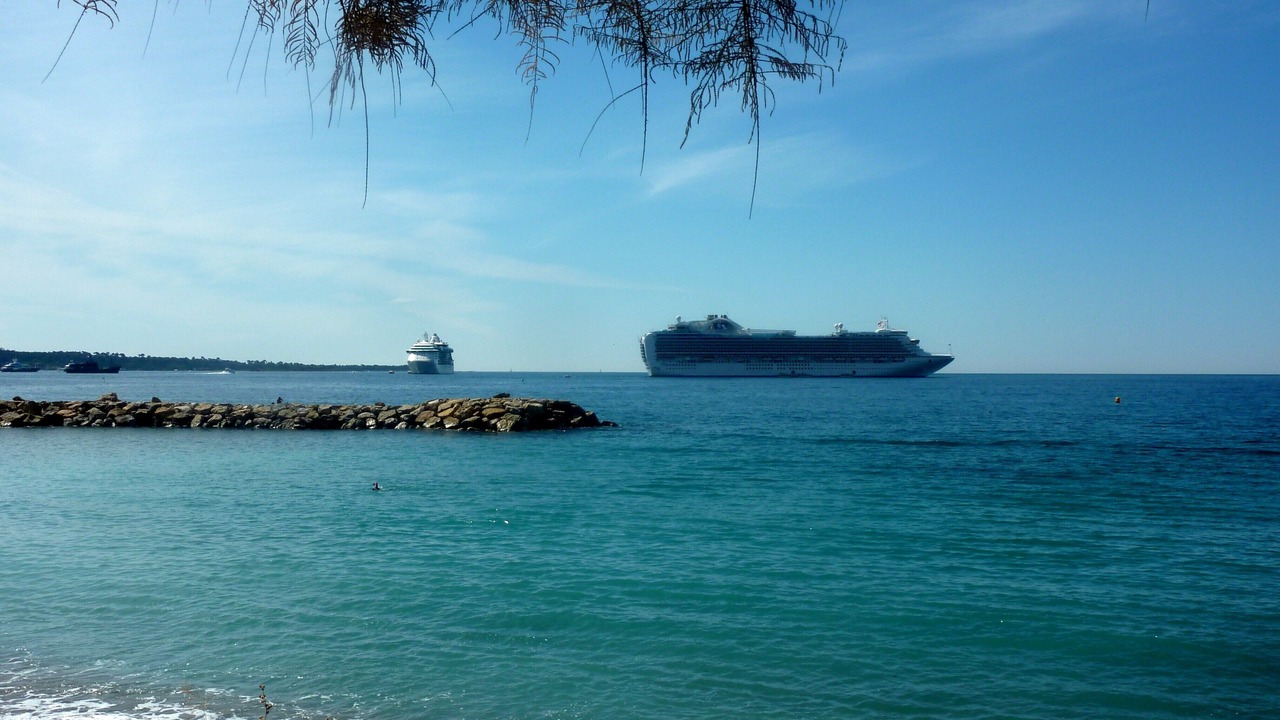 Photo of Others in Cannes City Centre