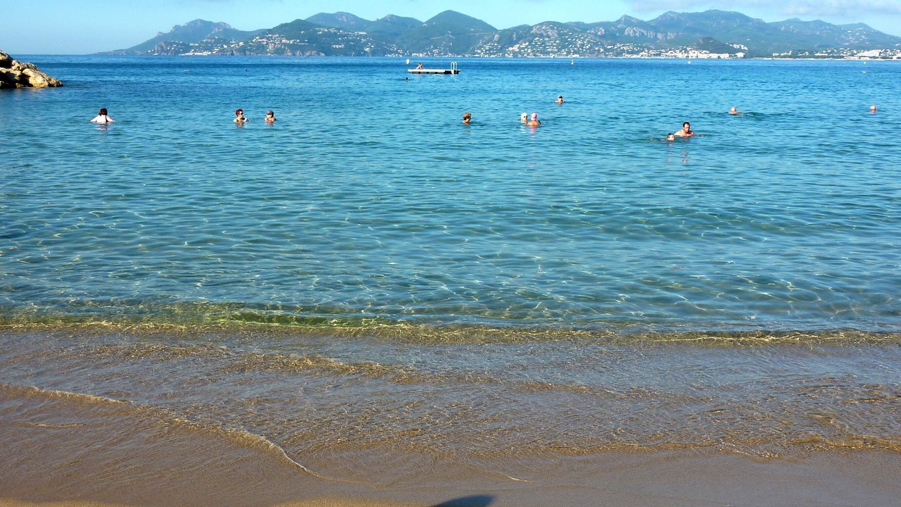 Photo of Others in Cannes City Centre