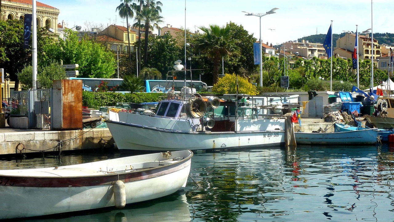Photo of Others in Cannes City Centre