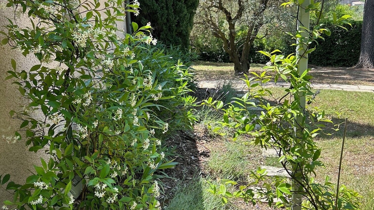 Photo of Outdoor in Nyons