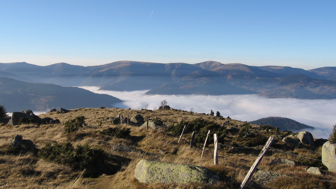 Photo of Others in Metzeral