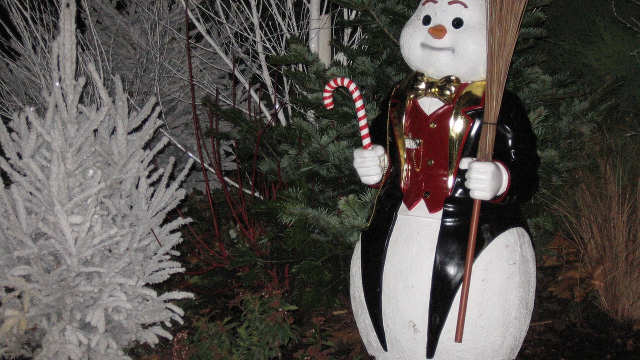 Photo of Others in Metzeral