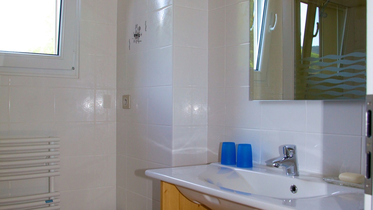 Photo of Bathroom in Metzeral