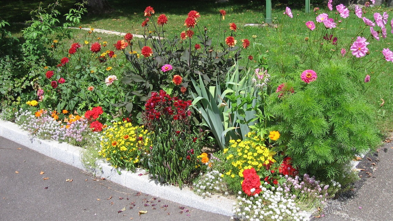 Photo of Outdoor in Metzeral