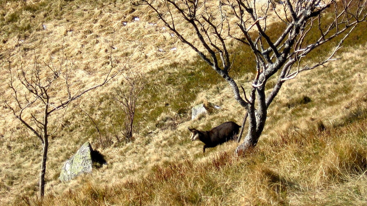 Photo of Outdoor in Metzeral