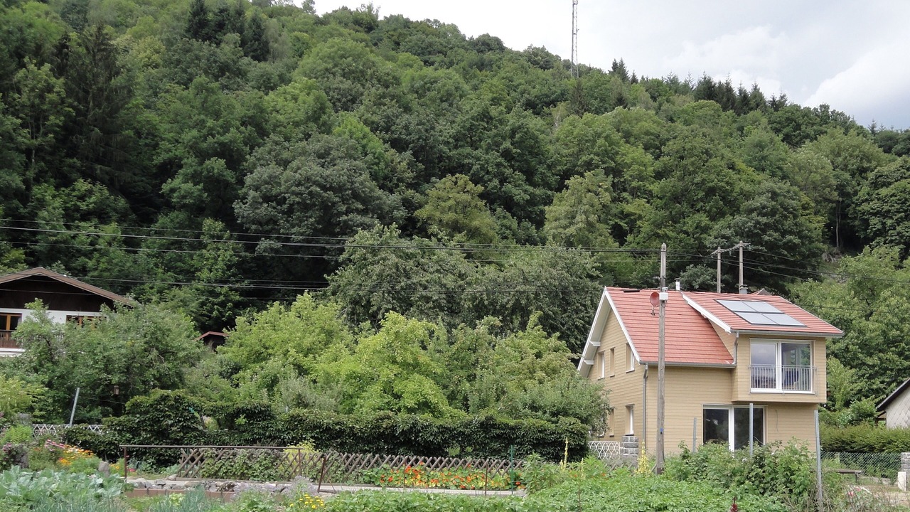 Photo of Outdoor in Metzeral