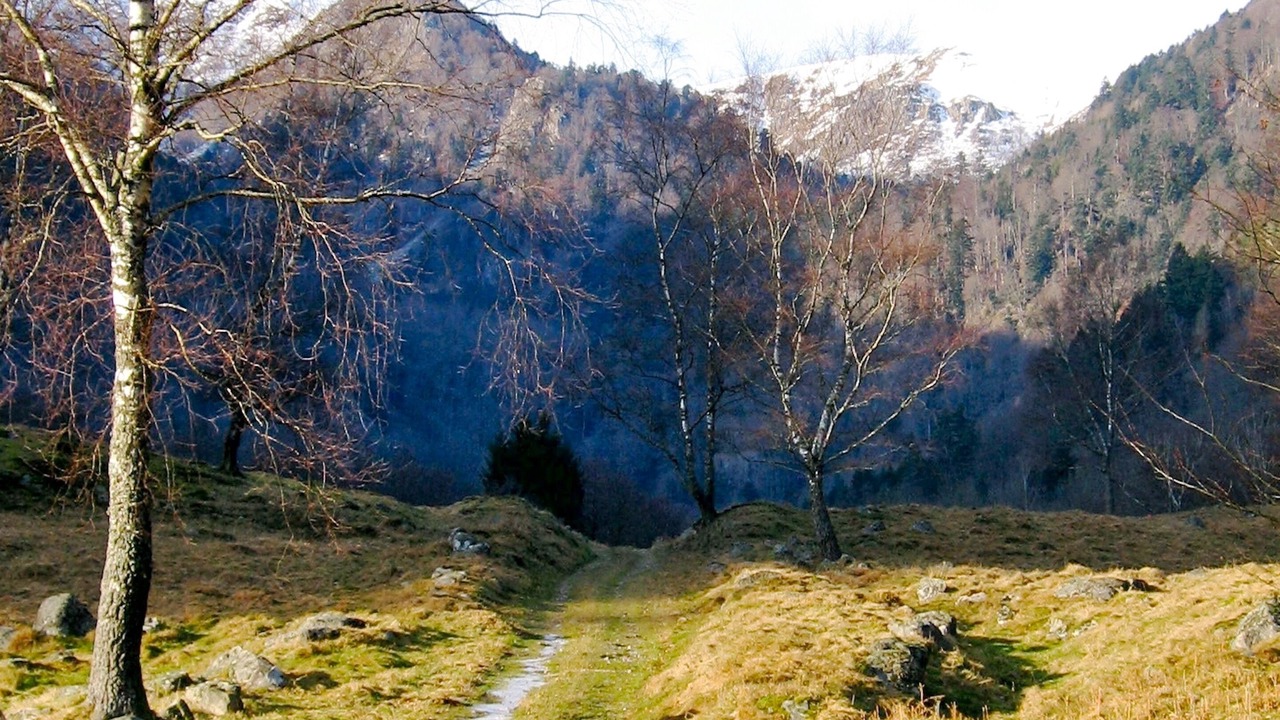 Photo of Outdoor in Metzeral