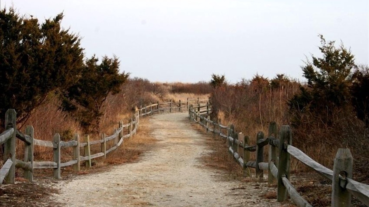 Photo of Others in Avalon